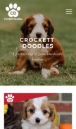 How crockettdoodles.com looks like on a mobile device such as an iPhone.