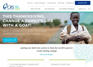 How crs.org looks like on a tablet such as an iPad.