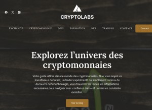 How cryptolabs.fr looks like on a tablet such as an iPad.