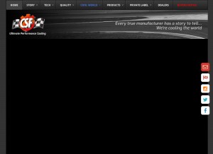 How csfrace.com looks like on a tablet such as an iPad.