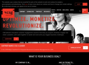 How csgsystems.com looks like on a tablet such as an iPad.