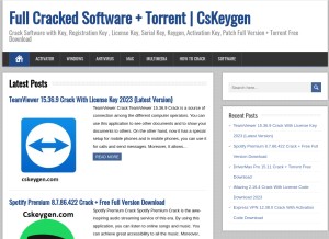 How cskeygen.com looks like on a tablet such as an iPad.