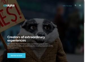 How ctidigital.com looks like on a tablet such as an iPad.