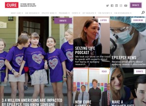 How cureepilepsy.org looks like on a tablet such as an iPad.