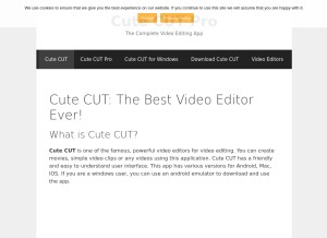 How cutecut.vip looks like on a tablet such as an iPad.