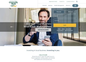 How cvcb.com looks like on a tablet such as an iPad.