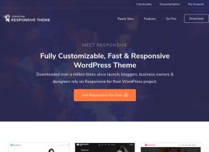 How cyberchimps.com looks like on a tablet such as an iPad.