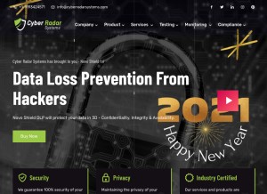 How cyberradarsystems.com looks like on a tablet such as an iPad.