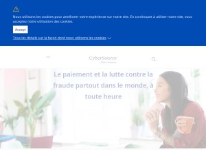 How cybersource.com looks like on a tablet such as an iPad.