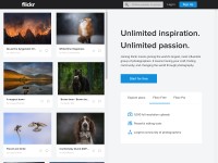 Desktop screenshot for flickr.com