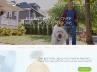 Desktop screenshot for wellsteps.com