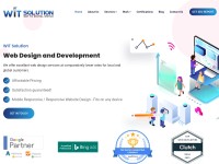 Screenshot of witsolution.in