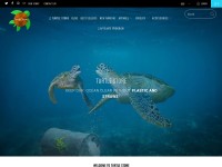 Desktop screenshot for turtle-store.com