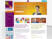 Desktop screenshot for naeir.org