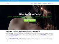 Desktop screenshot for pihuservice.com