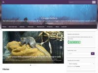 Desktop screenshot for raptus.it