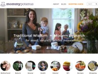 Desktop screenshot for mommypotamus.com