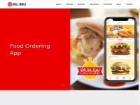 Desktop screenshot for brillmindz.com