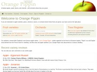 Desktop screenshot for orangepippin.com