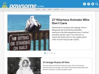 Desktop screenshot for topixpawsome.com