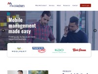 Desktop screenshot for 3spectrum.com