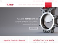 Desktop screenshot for bray.com