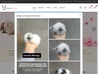 Desktop screenshot for conejoshermosos.com