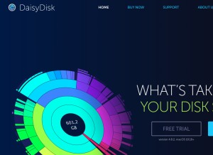 How daisydiskapp.com looks like on a tablet such as an iPad.
