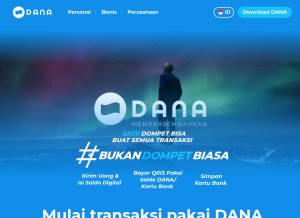 How dana.id looks like on a tablet such as an iPad.