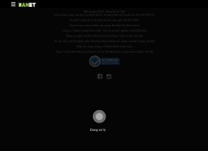 How danet.vn looks like on a tablet such as an iPad.