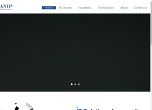 How daniptechnologies.com looks like on a tablet such as an iPad.