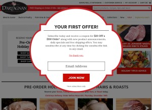 How dartagnan.com looks like on a tablet such as an iPad.