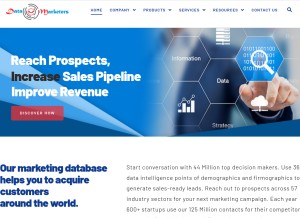 How datamarketersgroup.com looks like on a tablet such as an iPad.