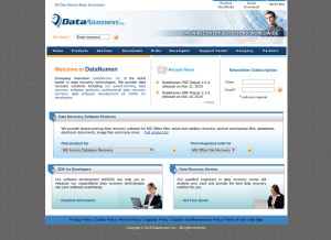 How datanumen.com looks like on a tablet such as an iPad.