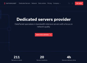 How datapacket.com looks like on a tablet such as an iPad.