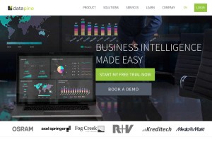 How datapine.com looks like on a tablet such as an iPad.