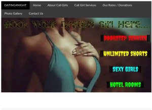 How dating4night.com looks like on a tablet such as an iPad.