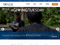 Desktop screenshot for ndi.org