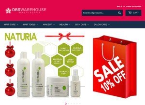 How dbswarehouse.com looks like on a tablet such as an iPad.