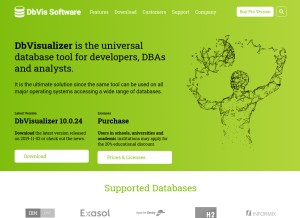 How dbvis.com looks like on a tablet such as an iPad.