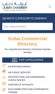 How dcciinfo.ae looks like on a mobile device such as an iPhone.