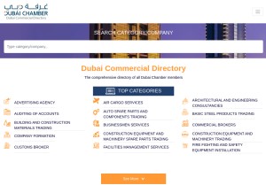 How dcciinfo.ae looks like on a tablet such as an iPad.