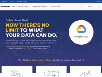 Desktop screenshot for netapp.com