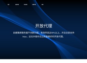 How ddniao.cn looks like on a tablet such as an iPad.