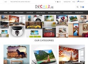 How decalz.co looks like on a tablet such as an iPad.