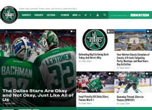 How defendingbigd.com looks like on a tablet such as an iPad.