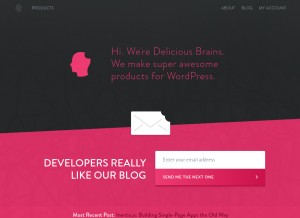 How deliciousbrains.com looks like on a tablet such as an iPad.