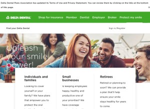 How deltadental.com looks like on a tablet such as an iPad.