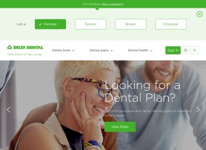 How deltadentalnj.com looks like on a tablet such as an iPad.
