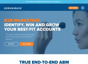 How demandbase.com looks like on a tablet such as an iPad.